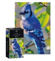 Opakowanie Puzzle 250 Colourful Nature Blue Jay