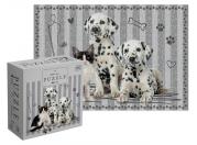 Opakowanie Puzzle 250 Puppy Sign Dalmatians