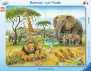 Opakowanie Puzzle 30 African Animal World Frame