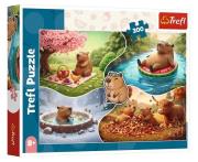 Opakowanie Puzzle 300 Cztery pory roku z kapibarami