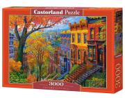 Opakowanie Puzzle 3000 Autumn City Hill CASTOR