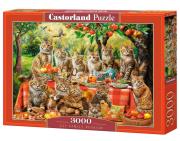 Opakowanie Puzzle 3000 Cat Family Reunion