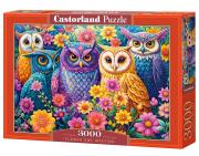 Opakowanie Puzzle 3000 Flower Owl Meeting CASTOR