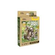 Opakowanie Puzzle 3D National Geographic Leniwiec 52el