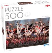 Okładka książki Puzzle 500 el. Greater Flamingos /59215/