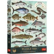 Opakowanie Puzzle 500 Finders Keepers: Ryby TREFL
