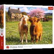 Opakowanie Puzzle 500 Przyjaciele na farmie 37570