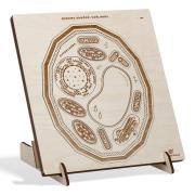 Opakowanie Puzzle drewniane Budowa komórki roślinnej