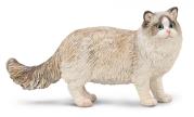 Opakowanie Ragdoll
