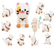 Opakowanie Robokot RC