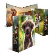 Opakowanie Segregator Pies 7cm