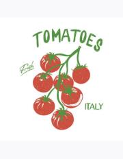 Opakowanie Serwetki DAISY Lunch SD 330x330 Pomidory 043901