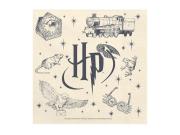 Opakowanie Serwetki Harry Potter beżowe 33x33cm 20szt