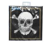 Opakowanie Serwetki papierowe Piraci 33x33cm 20szt