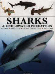 Okładka książki Sharks & Underwater Predators [mini edition]