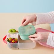 Opakowanie Silikonowy pojemnik z pokrywką do lunchboxa Forest