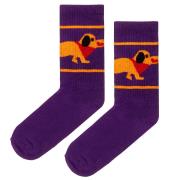 Opakowanie Skarpetki bawełna org. sportowe jamnik 42-46