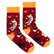 Opakowanie Skarpetki bawełna organiczna koty bordowe 42-46