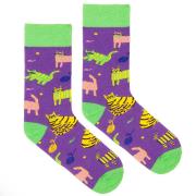 Opakowanie Skarpetki bawełna organiczna koty fioletowe 42-46