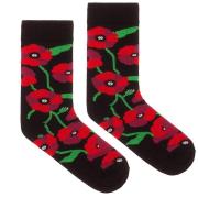 Opakowanie Skarpetki bawełna organiczna maki 36-41