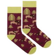 Opakowanie Skarpetki bawełna organiczna żubr 42-46