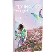 Opakowanie Skrzydełka ze światłami LED na baterie ruchome