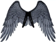 Opakowanie Skrzydła Archanioła czarne 95x75cm