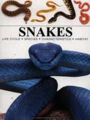 Snakes. Autor: Photopoulos Julianna. Dadada.pl Okładka książki Snakes