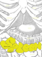 Okładka książki Spleen