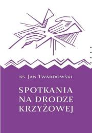 Okładka książki Spotkania na drodze krzyżowej