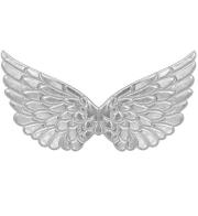 Opakowanie Srebrne skrzydła