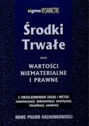Środki trwałe. Autor: Korczyn Aleksander. Dadada.pl Okładka książki Środki trwałe
