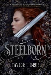 Okładka książki Steelborn