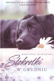 Stokrotki w grudniu. Autor: Marianna Olszewska. Dadada.pl Okładka książki Stokrotki w grudniu