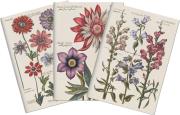 Opakowanie Stone 511 Zestaw 3 notatników A6 - kwiaty