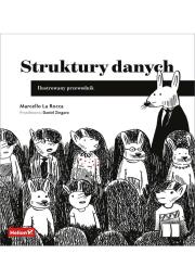 Okładka książki Struktury danych. Ilustrowany przewodnik
