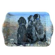 Opakowanie Taca mała Spaniele nad morzem