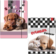 Opakowanie Teczka A4 z gumką Psy Koty mix