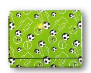 Opakowanie Teczka łamana A5 na gumkę T0130/1 Boisko PENMATE