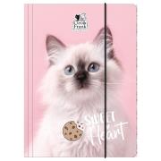 Opakowanie Teczka z gumką A4 Cleo i Frank 45 (kot) DERFORM