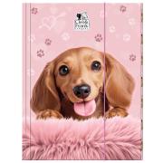 Opakowanie Teczka z gumką A4 Cleo i Frank