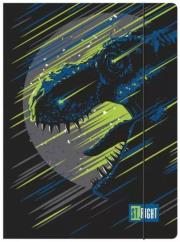 Opakowanie Teczka z gumką A4 Dinosaur