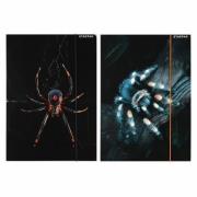 Opakowanie Teczka z gumką A4 Pająk mix