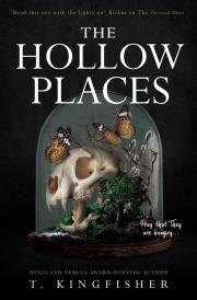 The Hollow Places wer. angielska. Autor: T. Kingfisher. Dadada.pl Okładka książki The Hollow Places wer. angielska