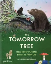 The Tomorrow Tree. How Nature Creates New Life From Old. Autor: Maciej Michno. Dadada.pl Okładka książki The Tomorrow Tree. How Nature Creates New Life From Old