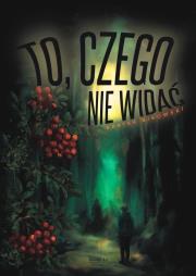 To, czego nie widać. Autor: Bartek Bikowski. Dadada.pl Okładka książki To, czego nie widać
