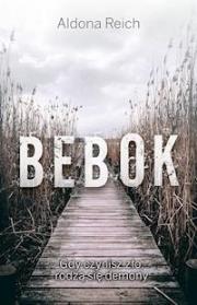 Okładka książki Tomasz Radwan T.2 Strzyga