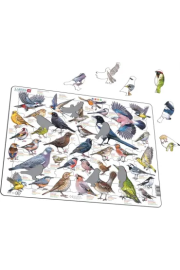 Opakowanie Układanka Garden Birds Ptaki ogrodowe polne Maxi