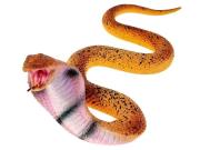 Opakowanie Wąż elastyczny 21x18,5x5cm