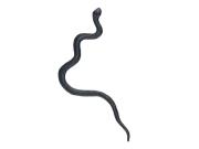 Wąż plastikowy 18cm czarny 12szt. Wydawca: MFP. Dadada.pl Opakowanie Wąż plastikowy 18cm czarny 12szt